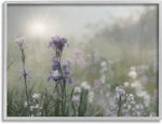 Stupell Industries Morning Violet Field Blooming Sung Glare Photography Grey Framed Wall Art, 14 x 11, Green