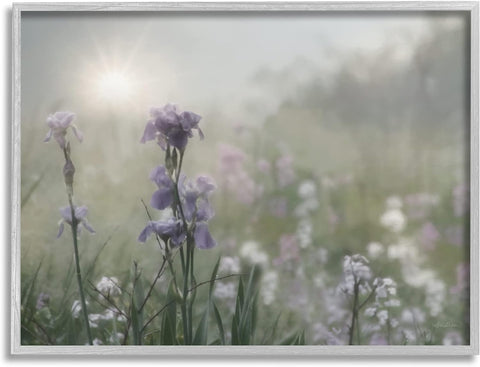 Stupell Industries Morning Violet Field Blooming Sung Glare Photography Grey Framed Wall Art, 20 x 16, Green