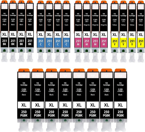 Enlite PGI250 CLI251 24 Pack Ink Cartridge Replacement for Canon 250 251 PGI250XL CLI251XL, Printer Ink for Canon Pixma IX6820 IP8720 MX922 MG7520 IP7220 MX722 MG5420 MG5520(8PGBK, 4BK, 4C, 4M, 4Y)